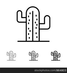 Cactus, Usa, Plant, American Bold and thin black line icon set
