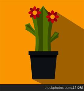 Cactus with flowers icon. Flat illustration of cactus with flowers vector icon for web isolated on yellow background. Cactus with flowers icon, flat style