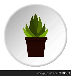 Cactus with flowers icon in flat circle isolated on white vector illustration for web. Cactus with flowers icon circle
