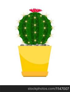 Cactus with pink flower in yellow pot, vector illustration. Cactus with pink flower