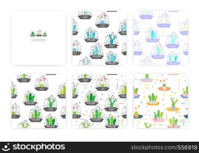 Cactuses In Glass Terrariums with Geometric Pattern Background. Vector Illustrations For Gift Wrap Design.