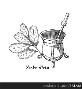 Calabash and bombilla for yerba mate drink. Mate tea engraving style vector illustration. Traditional South American drink.. Calabash and bombilla for yerba mate drink. Mate tea