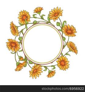 calendula flower vector frame. calendula flower vector frame on white background