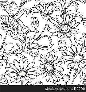 calendula seamless pattern. calendula plant seamless pattern on white background