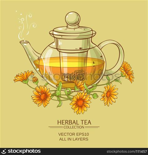 calendula tea vector illustration. vector illustration with calendula tea in glass teapot