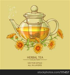 calendula tea vector illustration. vector illustration with calendula tea in glass teapot