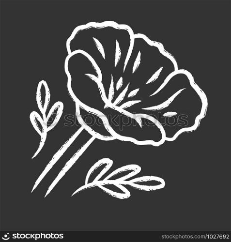 California poppy chalk icon. Papaver rhoeas. Corn rose blooming wildflower. Herbaceous plants. Field common poppy. Summer blossom. Isolated vector chalkboard illustration