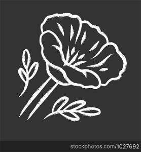 California poppy chalk icon. Papaver rhoeas. Corn rose blooming wildflower. Herbaceous plants. Field common poppy. Summer blossom. Isolated vector chalkboard illustration