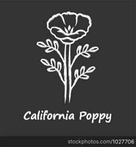 California poppy chalk icon. Papaver rhoeas with name inscription. Corn rose blooming wildflower. Herbaceous plants. Field common poppy. Summer blossom. Isolated vector chalkboard illustration