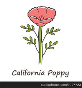 California poppy red color icon. Papaver rhoeas with name inscription. Corn rose blooming wildflower. Herbaceous plants. Field common poppy. Summer blossom. Isolated vector illustration