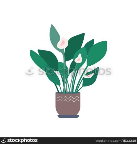 Calla cartoon vector illustration. Stem with leaves in flowerpot. Foliage in container for office and home. Potted plant flat color object. Interior decoration isolated on white background. Calla cartoon vector illustration