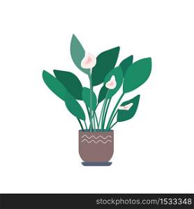 Calla cartoon vector illustration. Stem with leaves in flowerpot. Foliage in container for office and home. Potted plant flat color object. Interior decoration isolated on white background. Calla cartoon vector illustration