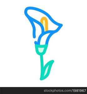 calla flower color icon vector. calla flower sign. isolated symbol illustration. calla flower color icon vector illustration
