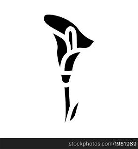calla flower glyph icon vector. calla flower sign. isolated contour symbol black illustration. calla flower glyph icon vector illustration