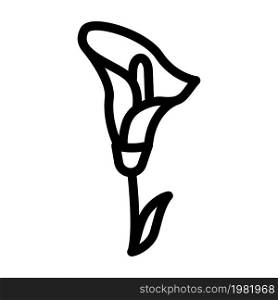 calla flower line icon vector. calla flower sign. isolated contour symbol black illustration. calla flower line icon vector illustration