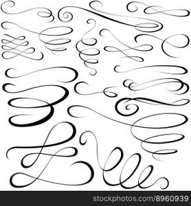 Calligraph elements vector image