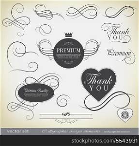 calligraphic design elements and page decoration ?an be used for invitation, congratulation or website