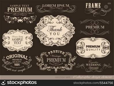 calligraphic design elements can be used for invitation, congratulation or website layout vector