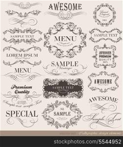 calligraphic design elements can be used for invitation, congratulation or website layout vector