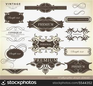calligraphic design elements, page decoration and labls / vector set
