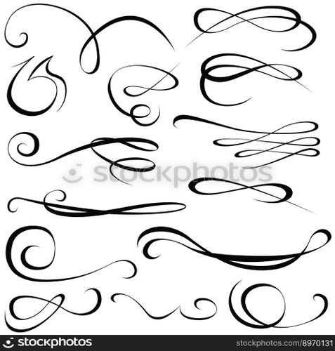 Calligraphic elements vector image