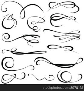 Calligraphic elements vector image