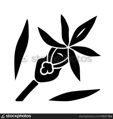 Calypso orchid glyph icon. Exotic, tropical blooming flower. Fairy slipper. Calypso bulbosa. Wildflower paphiopedilum. Spring blossom. Silhouette symbol. Negative space. Vector isolated illustration