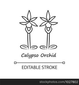 Calypso orchid linear icon. Thin line illustration. Exotic blooming flower. Fairy slipper with name. Calypso bulbosa inflorescence. Spring blossom. Vector isolated outline drawing. Editable stroke
