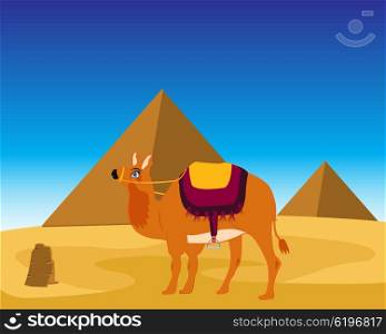 Camel and pyramids. The Landscape of the egyptian pyramids and animal camel.