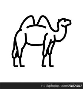 camel animal in zoo line icon vector. camel animal in zoo sign. isolated contour symbol black illustration. camel animal in zoo line icon vector illustration