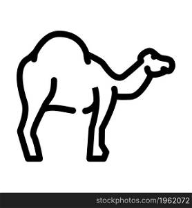 camel animal line icon vector. camel animal sign. isolated contour symbol black illustration. camel animal line icon vector illustration