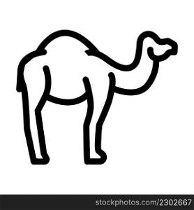 camel animal line icon vector. camel animal sign. isolated contour symbol black illustration. camel animal line icon vector illustration