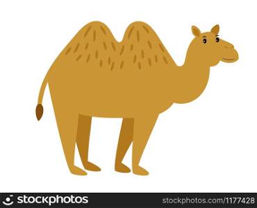 Camel. Cartoon vector caravan camel character isolated on white background. Camel. Cartoon vector caravan camel character on white