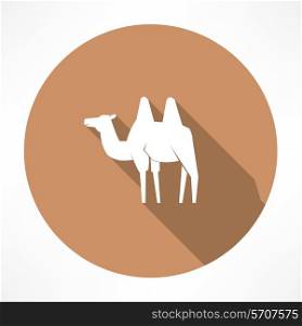 Camel Flat modern style vector illustration