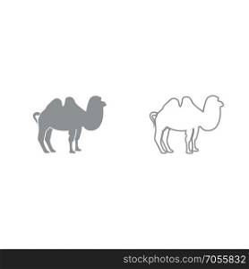 Camel grey set icon .