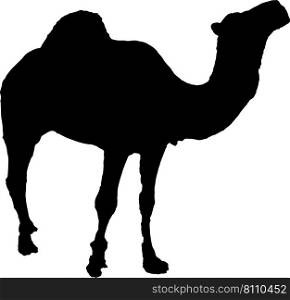 Camel icon silhouette Royalty Free Vector Image
