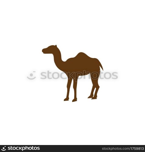 camel icon vector illustration design template web