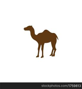 camel icon vector illustration design template web