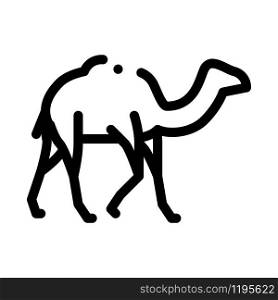 Camel Icon Vector. Outline Camel Sign. Isolated Contour Symbol Illustration. Camel Icon Vector Outline Illustration