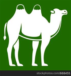 Camel icon white isolated on green background. Vector illustration. Camel icon green