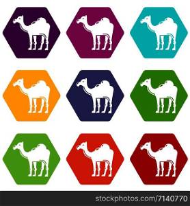 Camel icons 9 set coloful isolated on white for web. Camel icons set 9 vector