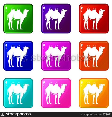 Camel icons of 9 color set isolated vector illustration. Camel icons 9 set