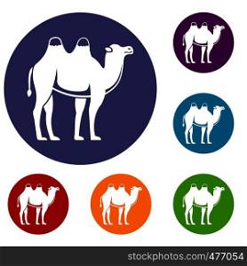 Camel icons set in flat circle red, blue and green color for web. Camel icons set