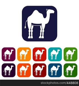 Camel icons set vector illustration in flat style In colors red, blue, green and other. Camel icons set flat