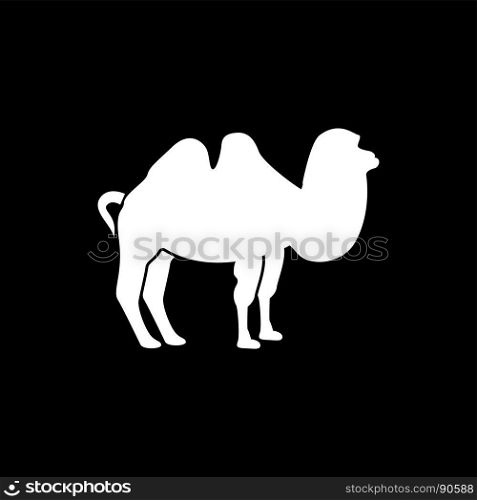 Camel it is white icon .. Camel it is white icon . Flat style .