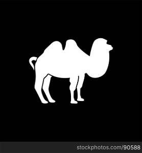 Camel it is white icon .. Camel it is white icon . Flat style .