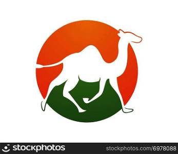 Camel logo template vector icon illustration design