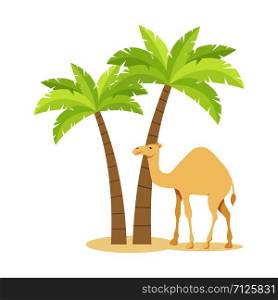 Camel under the palms. vector illustration