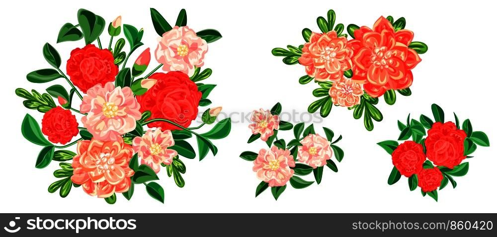 Camellia banner set. Cartoon illustration of camellia vector banner set for web design. Camellia banner set, cartoon style