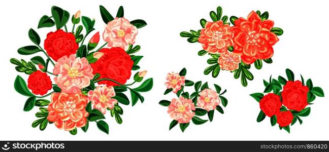 Camellia banner set. Cartoon illustration of camellia vector banner set for web design. Camellia banner set, cartoon style